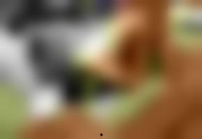 视频图片欧美国产